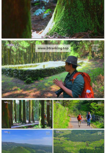 영상앨범 산.E989.250525.1080p-F1RST