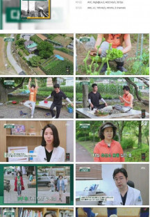 다큐 플러스.E263.230528.1080p.H264-F1RST.mp4